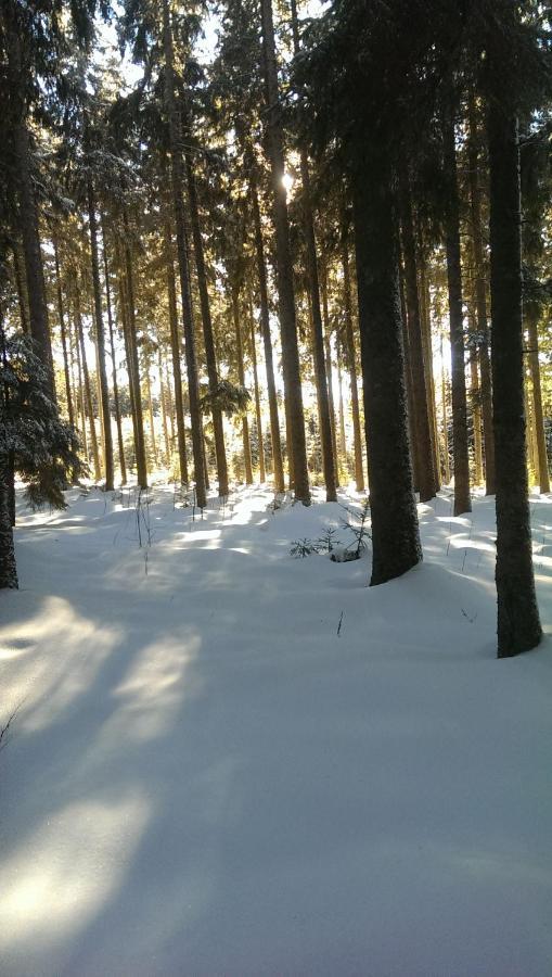 Schwarzwald Geht Immer Fewo 60 Qm Mit Grossem Suedbalkon, Wlan Und Magenta Tv Schoenwald im Schwarzwald Exterior photo